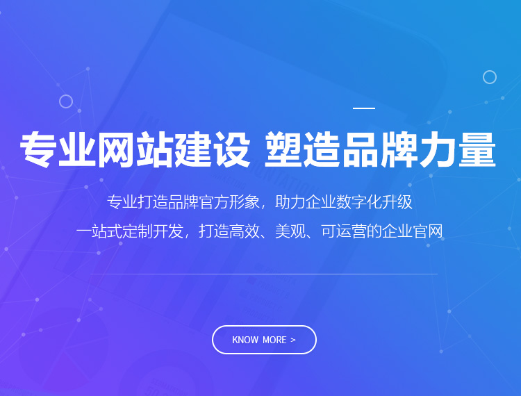 宣城建站-专业网站建设 塑造品牌力量